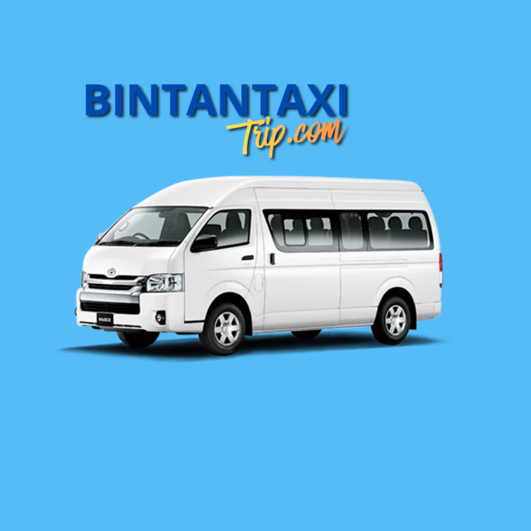 MINI VAN 14 SEATER 6 HOURS